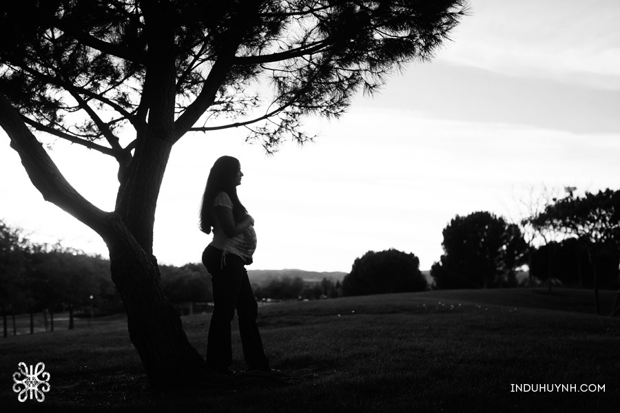 013Lifestyle-Maternity-Family-session-in-dublin-Indu-Huynh-Photography