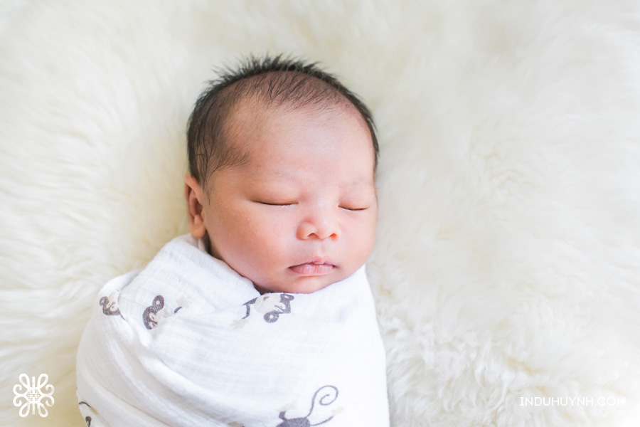 001baby-malcolm-newborn-session-indu-huynh-photography
