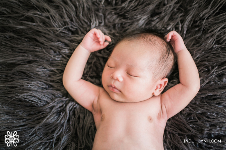 006baby-malcolm-newborn-session-indu-huynh-photography