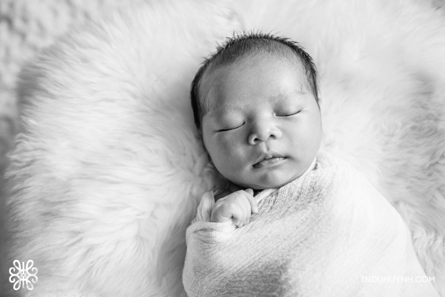 014baby-malcolm-newborn-session-indu-huynh-photography